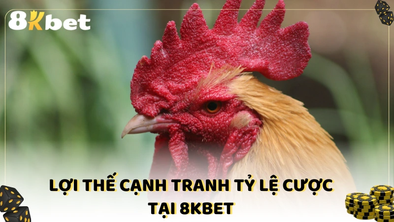 Lợi thế cạnh tranh tỷ lệ cược tại 8KBET