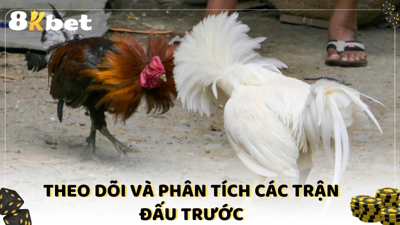 Quan sát và đánh giá chi tiết các trận đấu trước đó